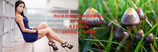 mix Армянск