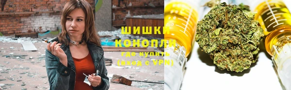 дмт Пестово